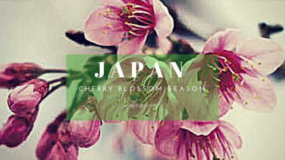 Gay Japan